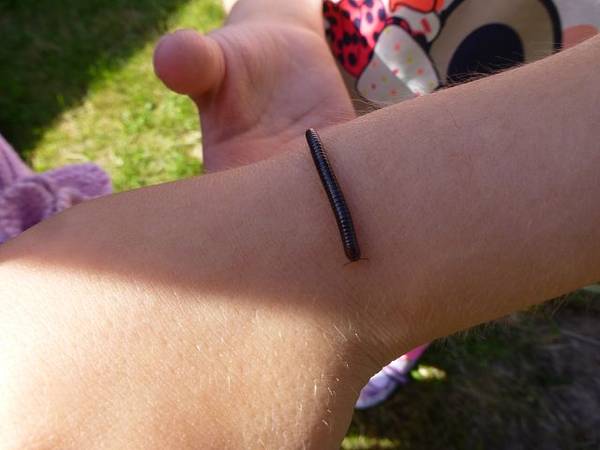 Quelle: Kinderarche Legelshurst